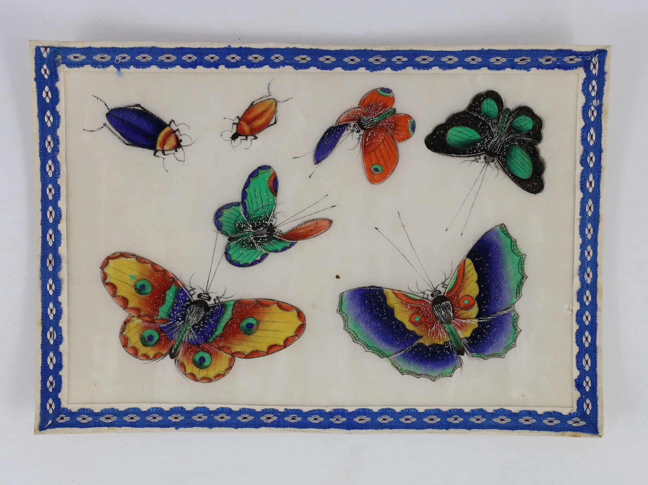 A set of twelve Chinese pith paintings of butterflies and insects, mid 19th century, total size 18cm x 12.2cm, small holes to paper